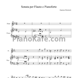 Ноты Gaetano Donizetti - Sonata per flauto e pianoforte - предпросмотр