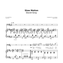 Ноты David Gray - Slow motion - предпросмотр