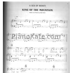 Ноты Kate Bush - Aerial (Книга нот) - предпросмотр