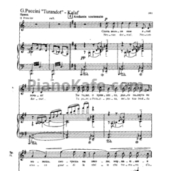 Ноты Нико Неман - Ария Калафа - предпросмотр