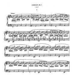Ноты Н. Дремлюга - Соната №1 e-moll для бандуры - предпросмотр