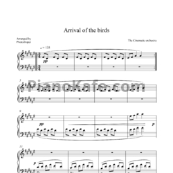 Ноты The Cinematic orchestra - Arrival of the birds (Arr. Photozhoper) - предпросмотр