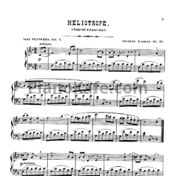 Ноты Генрих Лихнер - Heliotrope (Op. 111 №5) - предпросмотр