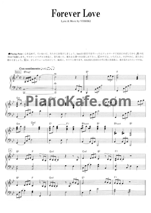 Ноты X Japan - Forever love - PianoKafe.com