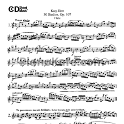 Ноты Зигфрид Карг-Элерт - 30 этюдов (Op. 107)