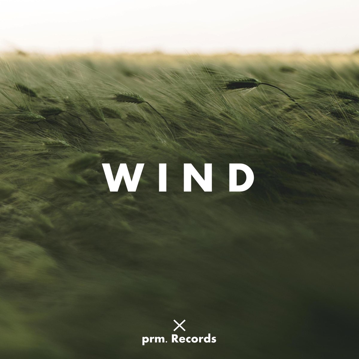 Ветер mp3. PRM Wind Single. Wind PRM. Wind PRM Ноты. Wind PRM Notes.