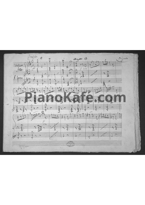 Ноты Gaetano Donizetti - Pot-Pourri for V&p - PianoKafe.com