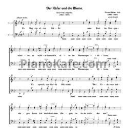 Ноты Вацлав Фейт - Der Käfer und die Blume (Хоровая партитура)