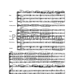 Ноты И. Бах - Концерт №1 фа мажор (BWV 1046) - предпросмотр