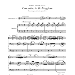 Ноты Гаэтано Доницетти - Концертино для кларнета с оркестром си-бемоль мажор - предпросмотр