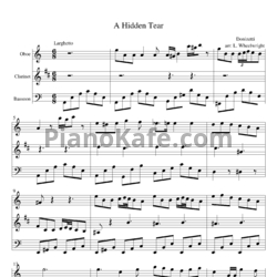 Ноты Gaetano Donizetti - A hidden tear - предпросмотр