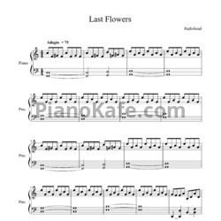 Ноты Radiohead - Last flowers - предпросмотр