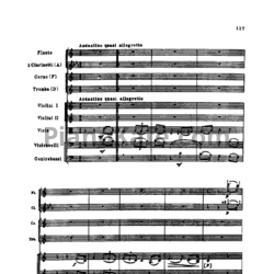 Ноты П. Чайковский - Серенада к именинам Н. Г. Рубинштейна (Партитура) - предпросмотр