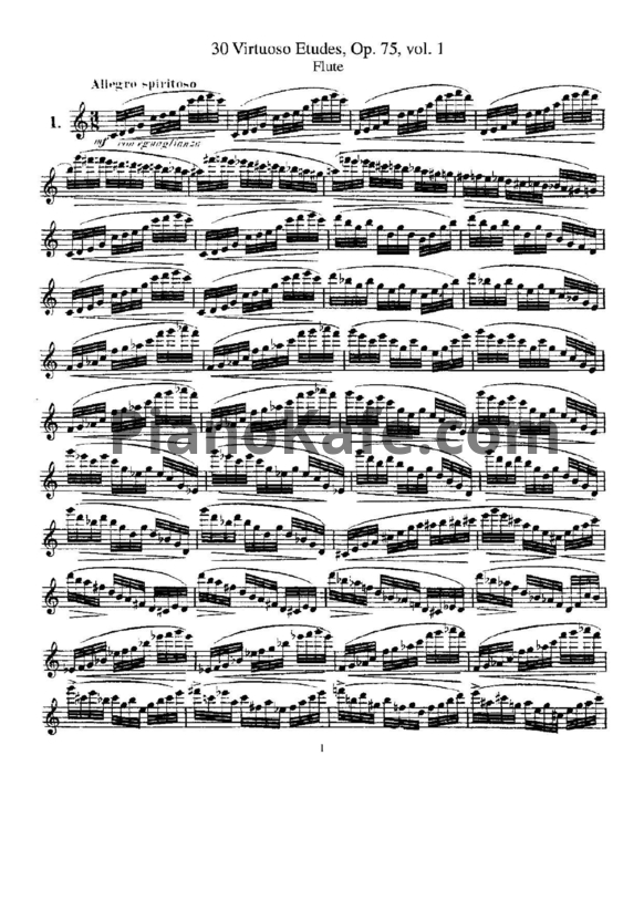 Ноты Эрнест Кёлер - 30 виртуозных этюдов для флейты (Op. 75, Vol. 1) - PianoKafe.com