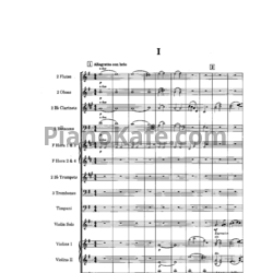 Ноты Вадим Цагарейшвили - Концерт для скрипки с оркестром ми минор (Партитура, Op. 28) - предпросмотр