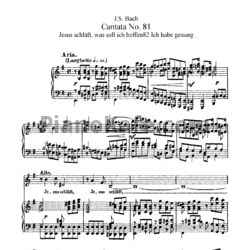 Ноты И. Бах - Кантата №81 "Jesus chlaft, was soll ich hoffen82 ichhabe genung" (BWV 81) - предпросмотр