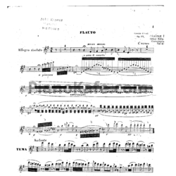 Ноты Чезаре Чиарди - Венецианский карнавал (Op. 22). Партия флейты - предпросмотр