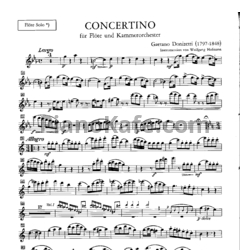Ноты Gaetano Donizetti - Концертино для флейты и камерного оркестра. Партия флейты - предпросмотр
