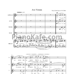 Ноты Marco Fedi Caruso - Ave verum