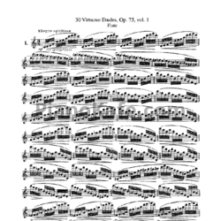 Ноты Эрнест Кёлер - 30 виртуозных этюдов для флейты (Op. 75, Vol. 1) - предпросмотр
