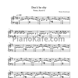 Ноты Tiesto & Karol G - Don't be shy - предпросмотр