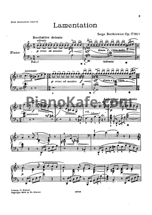 Ноты С. Борткевич - Жалобы и утешения (Op. 17) - PianoKafe.com