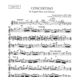 Ноты Gaetano Donizetti - Concertino for English horn and orchester - предпросмотр