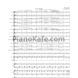 Ноты Ф. Сарто - Con te partiro (Партитура и голоса)