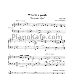 Ноты А. А. Шулишова - Переложения для фортепиано современной музыки - предпросмотр