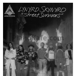 Ноты Lynyrd Skynyrd - Street survivors (Книга нот) - предпросмотр