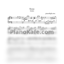 Ноты Бьянка - Кеды - предпросмотр
