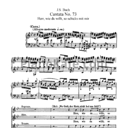 Ноты И. Бах - Кантата №73 "Herr, wie du willt, so shicks mit mir" (BWV 73) - предпросмотр