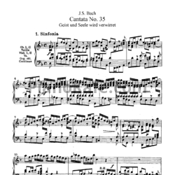 Ноты И. Бах - Кантата №35 "Geist und Seele wird verwirret" (BWV 35) - предпросмотр