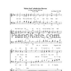 Ноты И. Бах - Кантата №10 "Meine seel erhebr den herren" (BWV 10). Версия 2 - предпросмотр