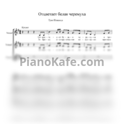 Ноты Трио "Пташица" - Отцветает белая черемуха (Хоровая партитура) - предпросмотр