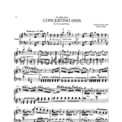 Ноты Gaetano Donizetti - Концертино для флейты и фортепиано - предпросмотр