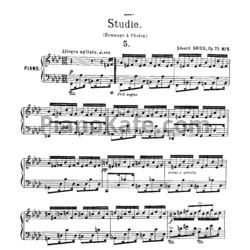 Ноты Эдвард Григ - Этюд "Памяти Шопена" (Op. 75, №5) - предпросмотр