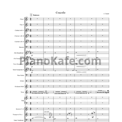 Ноты Андрей Эшпай - Спасибо (Партитура и голоса для духового оркестра) - предпросмотр