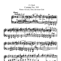 Ноты И. Бах - Кантата №101 "nimm von uns, herr, du treuer gott" (BWV 101) - предпросмотр