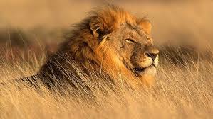 Cool African Music — PianoKafe.com