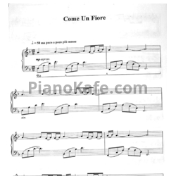 Ноты Ludovico Einaudi - Come un fiore - предпросмотр