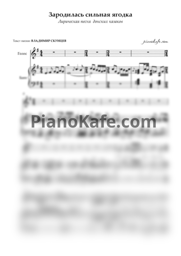 Ноты Зародилась сильная ягодка (Лирическая песня  донских казаков) - PianoKafe.com