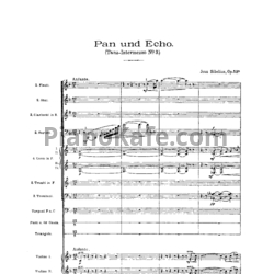 Ноты Ян Сибелиус - Танцевальное интермеццо для оркестра "Пан и Эхо" (Op. 53) - предпросмотр