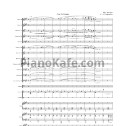 Ноты Ф. Сарто - Con te partiro (Партитура и голоса) (Меццо и баритон)