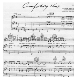 Ноты Pink Floyd - Comfortably numb - предпросмотр