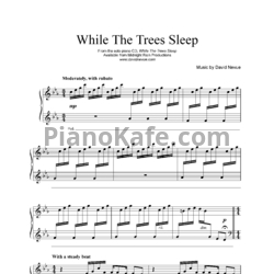 Ноты David Nevue - While the trees sleep - предпросмотр