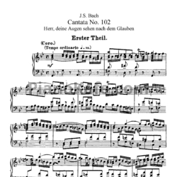 Ноты И. Бах - Кантата №102 "Herr, deine augen sehen nach dem glauben" (BWV 102) - предпросмотр