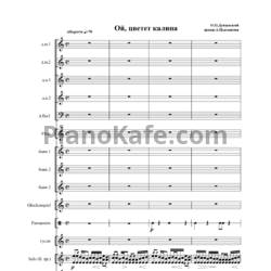 Ноты И. Дунаевский - А. Цыганков - Ой, цветёт калина (Партитура) - предпросмотр