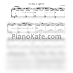 Ноты Ilya Beshevli - The bird in captivity - предпросмотр