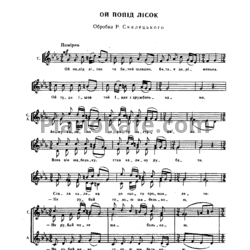Ноты Р. Скалецький - Ой попід лісок (Украинская народная песня)